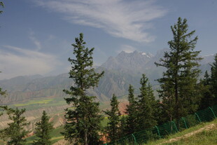 山间松林与远处朦胧山峦