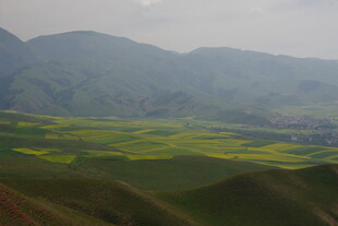 山间油菜花海美景