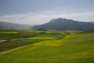 春日田野风光美景