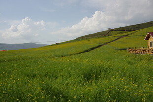 草原小屋 自然风光如画