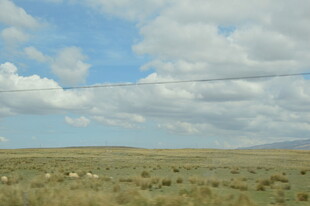 广袤草原上的蓝天白云