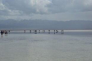 漫步盐湖 享受宁静美景