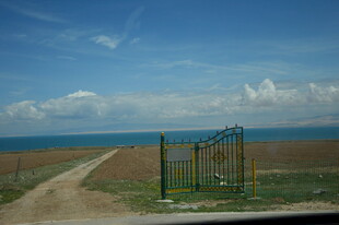 海边公路旁的简易秋千