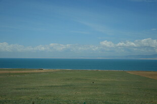 草原与大海的辽阔景致