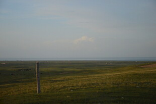 草原景色 远处一根立柱