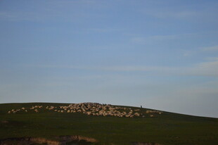 草原上的石堆与蓝天