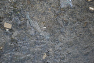 清澈溪流中的碎石