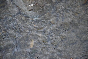 粗糙纹理的灰色岩石表面