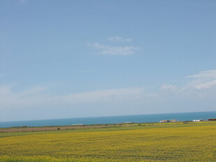 草原花海与碧海蓝天