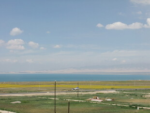 草原与海的辽阔景致