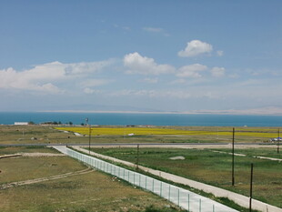田野旁的公路与广阔海景