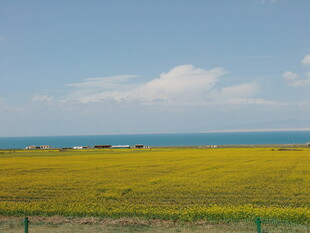 草原花海与蓝天碧海美景