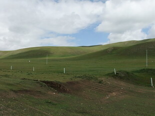 草原风光 绿色山丘与蓝天