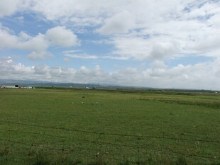 广袤绿野 蓝天白云相映