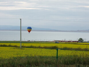 田野上的彩色热气球