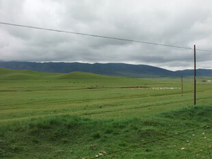 草原风光 阴天下的辽阔绿野