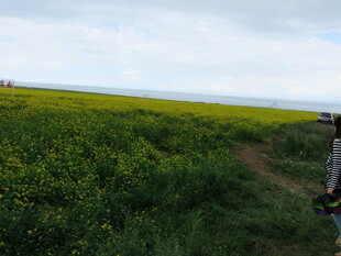 漫步花海小径的惬意时刻