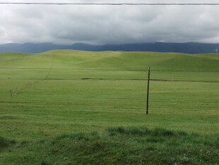 广袤草原上的孤独电线杆