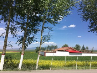 乡村田野间的红顶房屋