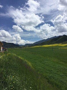 草原风光 蓝天白云下的绿野