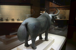 博物馆中的犀牛雕塑展品