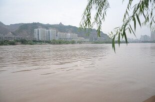 江边垂柳与滔滔江水