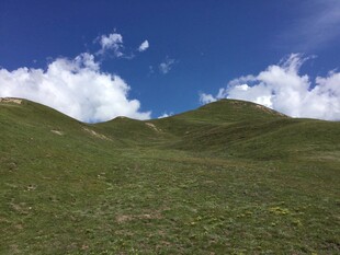 蓝天白云下的翠绿山丘