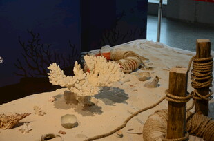 海洋主题手工艺品展示