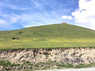 草原边缘的土层剖面