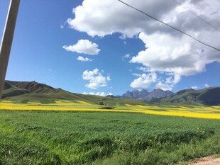 草原风光 蓝天白云下的美景