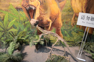 恐龙模型展示场景