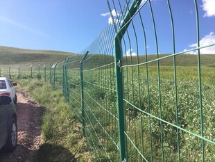 草原上的绿色防护围栏