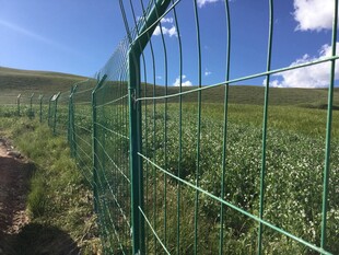 绿色围栏下的开阔草地