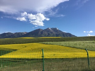草原花海与远山美景