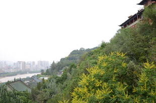 山间黄花伴古建筑远景