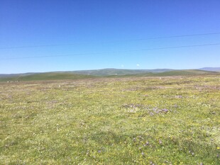 广袤草原 蓝天之下的绿野