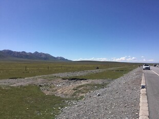 草原公路旁的开阔风景