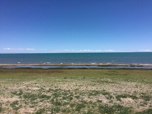 广阔海岸边的草地与蓝天