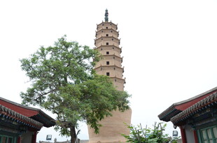 古塔旁中式建筑与绿树