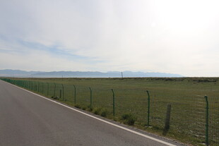 宽阔公路旁的绿色田野