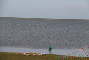 湖畔独行者的静谧时刻