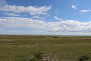 广袤草原蓝天白云美景
