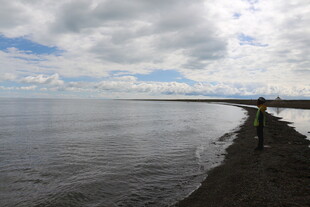 岸边一人赏辽阔水域