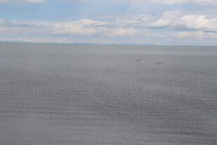 广阔无垠的灰色平坦大地