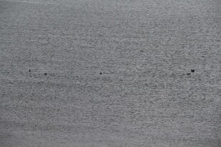 灰色纹理墙面背景图