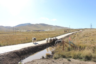 乡村公路旁的施工场景