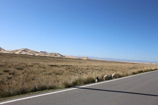 旷野公路 视野开阔之景