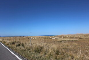 公路旁的开阔原野风光