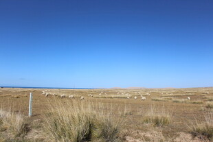 广袤草原上的蓝天与草垛
