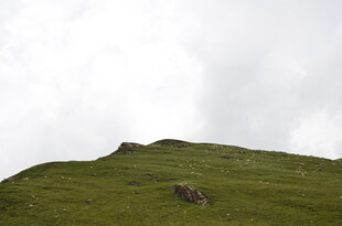 绿草如茵的山丘景色